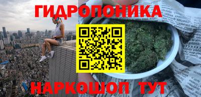 мет Новозыбков