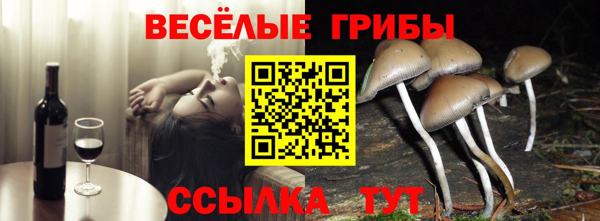 Ярцево  Псилоцибиновые грибы Psilocybe  Вход с VPN 